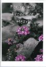 Forgiving From the Heart CD